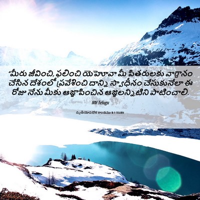 Picture 06 - ద్వితీయోపదేశ కాండము 8:1 TELIRV - “మీరు జీవించి, - Bible Verse Picture