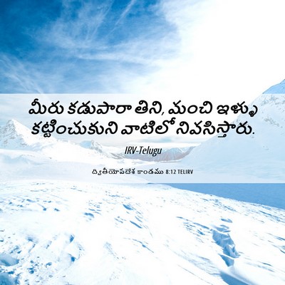 Picture 06 - ద్వితీయోపదేశ కాండము 8:12 TELIRV - మీరు కడుపారా తిని, - Bible Verse Picture