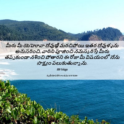 Picture 06 - ద్వితీయోపదేశ కాండము 8:19 TELIRV - మీరు మీ యెహోవా - Bible Verse Picture