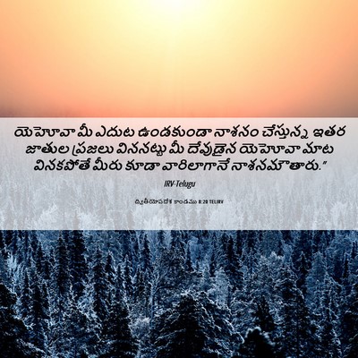 Picture 06 - ద్వితీయోపదేశ కాండము 8:20 TELIRV - యెహోవా మీ ఎదుట - Bible Verse Picture