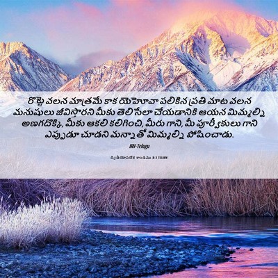 Picture 06 - ద్వితీయోపదేశ కాండము 8:3 TELIRV - రొట్టె వలన - Bible Verse Picture