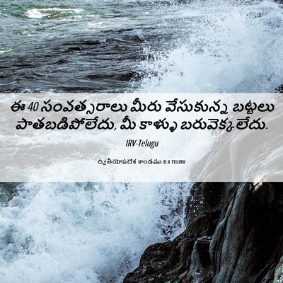 Picture 06 - ద్వితీయోపదేశ కాండము 8:4 TELIRV - ఈ 40 సంవత్సరాలు - Bible Verse Picture