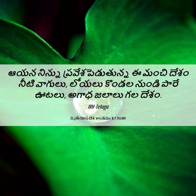 Picture 06 - ద్వితీయోపదేశ కాండము 8:7 TELIRV - ఆయన నిన్ను - Bible Verse Picture
