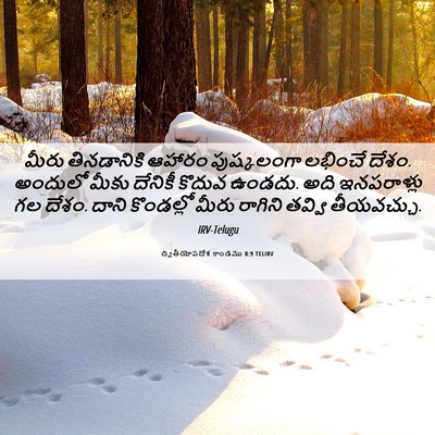 Picture 06 - ద్వితీయోపదేశ కాండము 8:9 TELIRV - మీరు తినడానికి - Bible Verse Picture