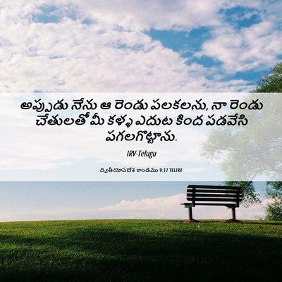 Picture 06 - ద్వితీయోపదేశ కాండము 9:17 TELIRV - అప్పుడు నేను ఆ - Bible Verse Picture