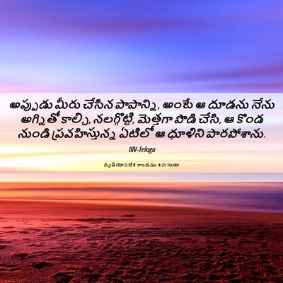 Picture 06 - ద్వితీయోపదేశ కాండము 9:21 TELIRV - అప్పుడు మీరు - Bible Verse Picture