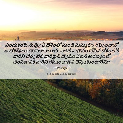 Picture 06 - ద్వితీయోపదేశ కాండము 9:28 TELIRV - ఎందుకంటే నువ్వు ఏ - Bible Verse Picture