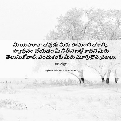 Picture 06 - ద్వితీయోపదేశ కాండము 9:6 TELIRV - మీ యెహోవా దేవుడు - Bible Verse Picture