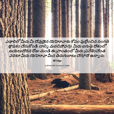 Picture 06 - ద్వితీయోపదేశ కాండము 9:7 TELIRV - ఎడారిలో మీరు మీ - Bible Verse Picture