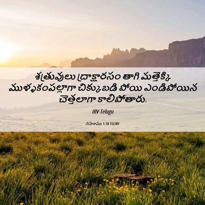 Picture 06 - నహూము 1:10 TELIRV - శత్రువులు - Bible Verse Picture