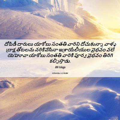 Picture 06 - నహూము 2:2 TELIRV - దోపిడీ దారులు - Bible Verse Picture
