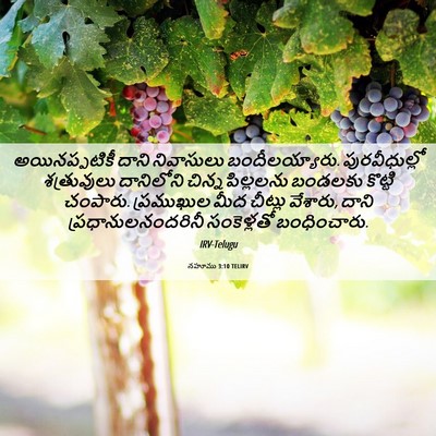 Picture 06 - నహూము 3:10 TELIRV - అయినప్పటికీ దాని - Bible Verse Picture