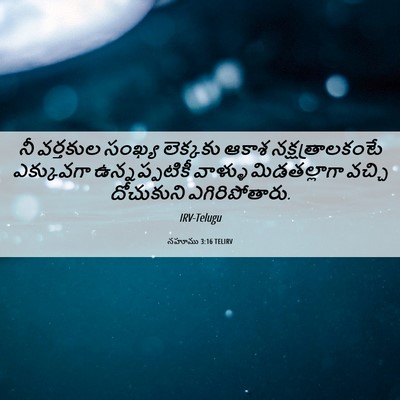 Picture 06 - నహూము 3:16 TELIRV - నీ వర్తకుల సంఖ్య - Bible Verse Picture