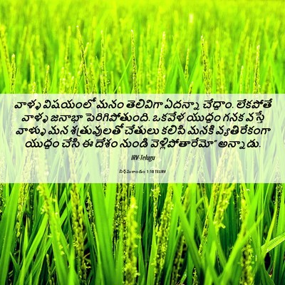 Picture 06 - నిర్గమకాండం 1:10 TELIRV - వాళ్ళ విషయంలో మనం - Bible Verse Picture