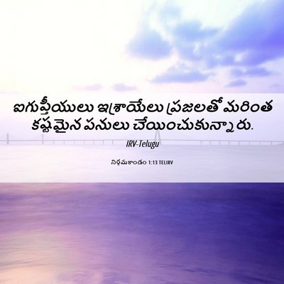 Picture 06 - నిర్గమకాండం 1:13 TELIRV - ఐగుప్తీయులు - Bible Verse Picture