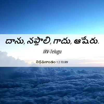 Picture 06 - నిర్గమకాండం 1:2 TELIRV - దాను, నఫ్తాలి, - Bible Verse Picture