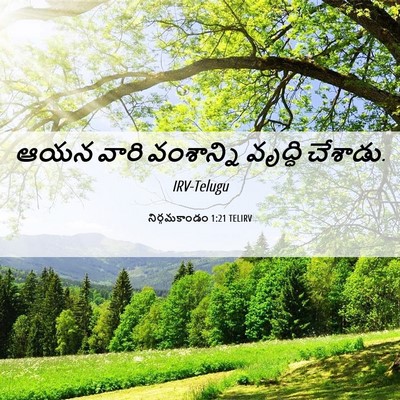 Picture 06 - నిర్గమకాండం 1:21 TELIRV - ఆయన వారి వంశాన్ని - Bible Verse Picture