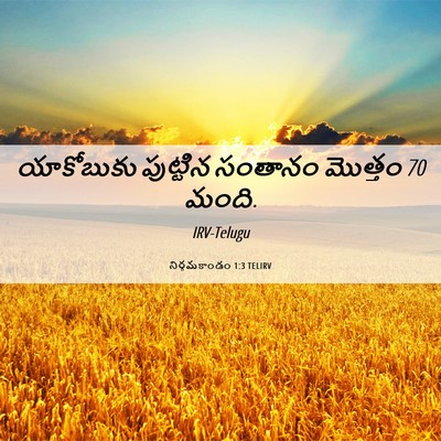 Picture 06 - నిర్గమకాండం 1:3 TELIRV - యాకోబుకు పుట్టిన - Bible Verse Picture