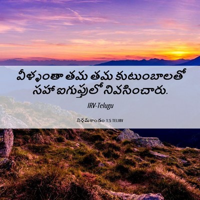 Picture 06 - నిర్గమకాండం 1:5 TELIRV - వీళ్ళంతా తమ తమ - Bible Verse Picture