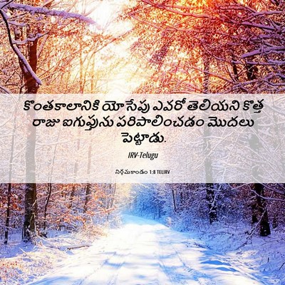 Picture 06 - నిర్గమకాండం 1:8 TELIRV - కొంతకాలానికి - Bible Verse Picture