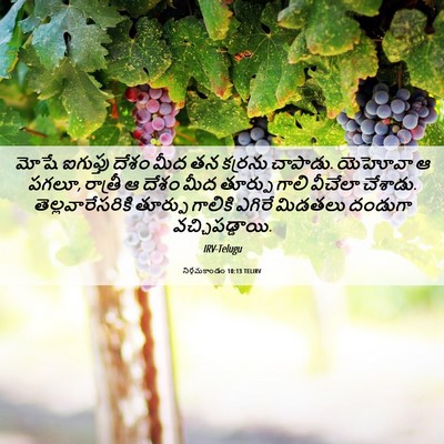 Picture 06 - నిర్గమకాండం 10:13 TELIRV - మోషే ఐగుప్తు దేశం - Bible Verse Picture