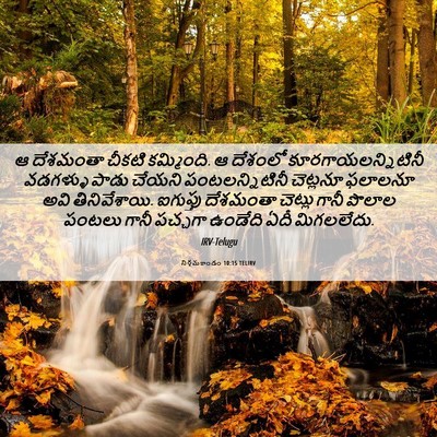 Picture 06 - నిర్గమకాండం 10:15 TELIRV - ఆ దేశమంతా చీకటి - Bible Verse Picture