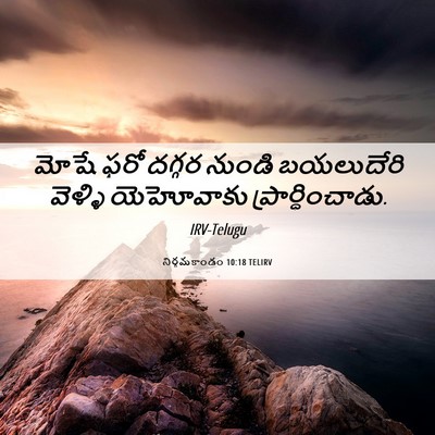 Picture 06 - నిర్గమకాండం 10:18 TELIRV - మోషే ఫరో దగ్గర - Bible Verse Picture