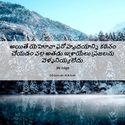Picture 06 - నిర్గమకాండం 10:20 TELIRV - అయితే యెహోవా ఫరో - Bible Verse Picture