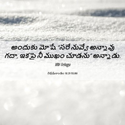 Picture 06 - నిర్గమకాండం 10:29 TELIRV - అందుకు మోషే “సరే - Bible Verse Picture