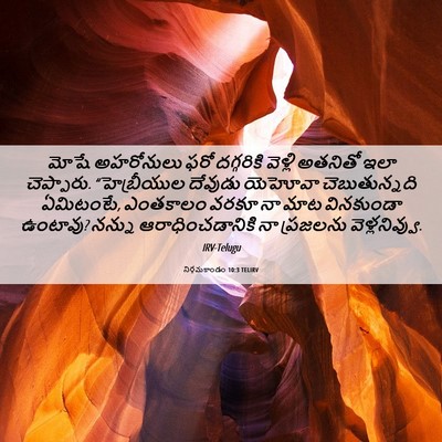 Picture 06 - నిర్గమకాండం 10:3 TELIRV - మోషే అహరోనులు ఫరో - Bible Verse Picture