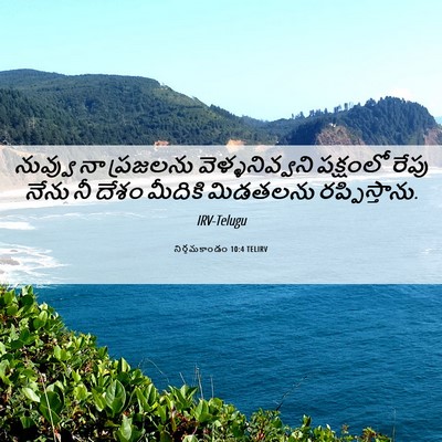 Picture 06 - నిర్గమకాండం 10:4 TELIRV - నువ్వు నా ప్రజలను - Bible Verse Picture