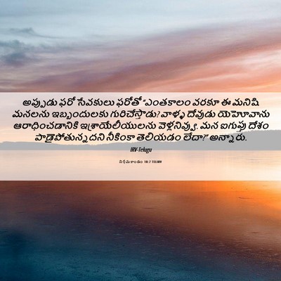 Picture 06 - నిర్గమకాండం 10:7 TELIRV - అప్పుడు ఫరో - Bible Verse Picture