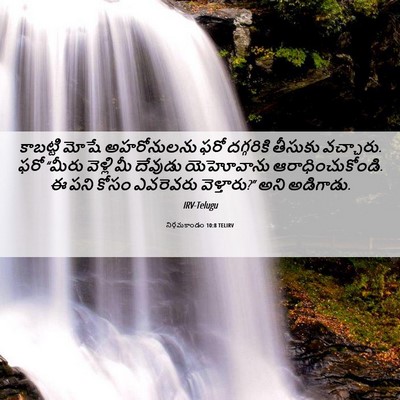 Picture 06 - నిర్గమకాండం 10:8 TELIRV - కాబట్టి మోషే - Bible Verse Picture