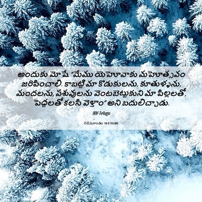 Picture 06 - నిర్గమకాండం 10:9 TELIRV - అందుకు మోషే “మేము - Bible Verse Picture