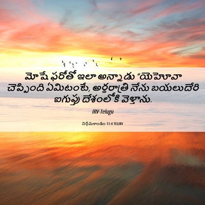 Picture 06 - నిర్గమకాండం 11:4 TELIRV - మోషే ఫరోతో ఇలా - Bible Verse Picture
