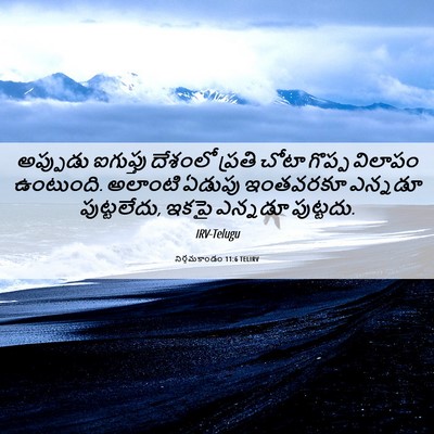 Picture 06 - నిర్గమకాండం 11:6 TELIRV - అప్పుడు ఐగుప్తు - Bible Verse Picture