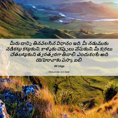 Picture 06 - నిర్గమకాండం 12:11 TELIRV - మీరు దాన్ని - Bible Verse Picture