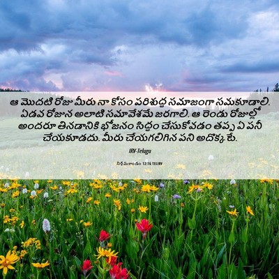Picture 06 - నిర్గమకాండం 12:16 TELIRV - ఆ మొదటి రోజు మీరు - Bible Verse Picture