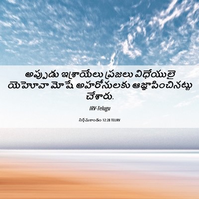 Picture 06 - నిర్గమకాండం 12:28 TELIRV - అప్పుడు ఇశ్రాయేలు - Bible Verse Picture