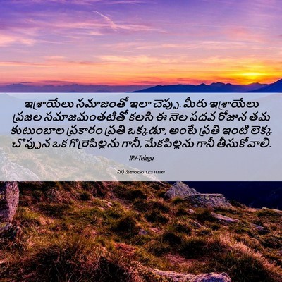 Picture 06 - నిర్గమకాండం 12:3 TELIRV - ఇశ్రాయేలు సమాజంతో - Bible Verse Picture