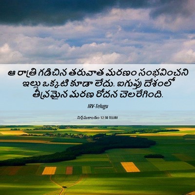 Picture 06 - నిర్గమకాండం 12:30 TELIRV - ఆ రాత్రి గడిచిన - Bible Verse Picture