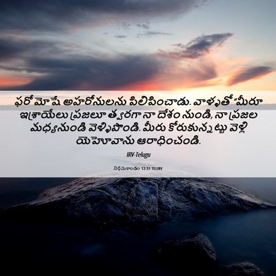 Picture 06 - నిర్గమకాండం 12:31 TELIRV - ఫరో మోషే - Bible Verse Picture