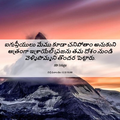 Picture 06 - నిర్గమకాండం 12:33 TELIRV - ఐగుప్తీయులు మేము - Bible Verse Picture