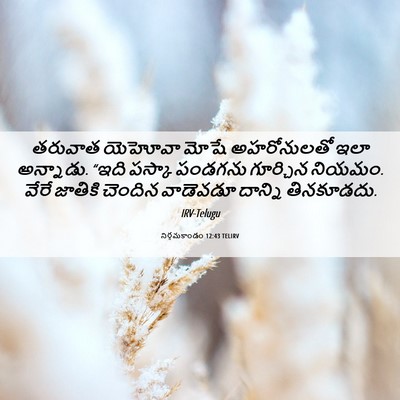 Picture 06 - నిర్గమకాండం 12:43 TELIRV - తరువాత యెహోవా - Bible Verse Picture