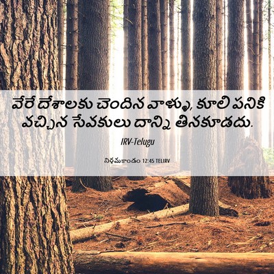 Picture 06 - నిర్గమకాండం 12:45 TELIRV - వేరే దేశాలకు - Bible Verse Picture