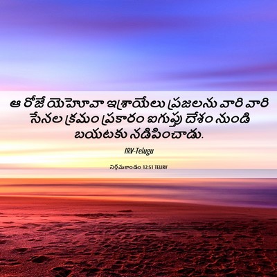 Picture 06 - నిర్గమకాండం 12:51 TELIRV - ఆ రోజే యెహోవా - Bible Verse Picture