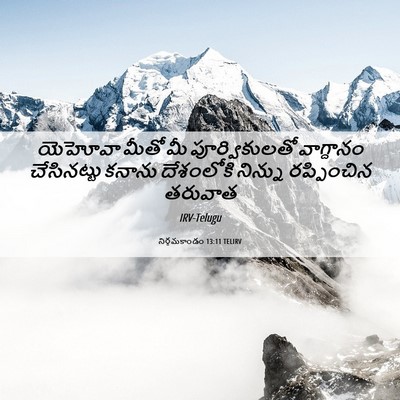 Picture 06 - నిర్గమకాండం 13:11 TELIRV - యెహోవా మీతో మీ - Bible Verse Picture