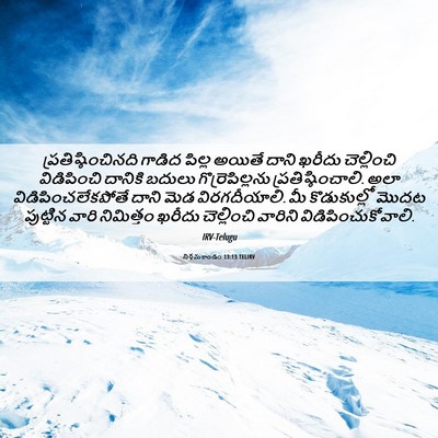 Picture 06 - నిర్గమకాండం 13:13 TELIRV - ప్రతిష్ఠించినది - Bible Verse Picture
