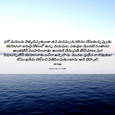 Picture 06 - నిర్గమకాండం 13:15 TELIRV - ఫరో మనలను - Bible Verse Picture