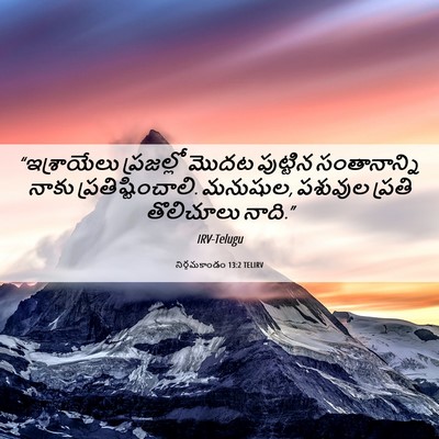 Picture 06 - నిర్గమకాండం 13:2 TELIRV - “ఇశ్రాయేలు - Bible Verse Picture